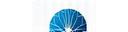 NetzWerk Solutions AG Logo